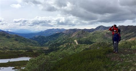 Denali: Guided Walking Tour in Denali National Park | GetYourGuide