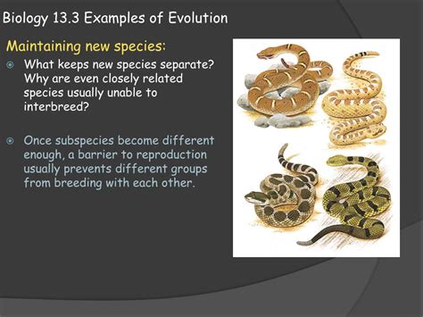 PPT - Biology 13.3 Examples of Evolution PowerPoint Presentation, free ...