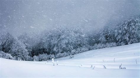 Winter storm could bring up to 50 inches of snow to parts of western US - ABC News