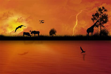 Africa Sunset Wallpapers - Wallpaper Cave