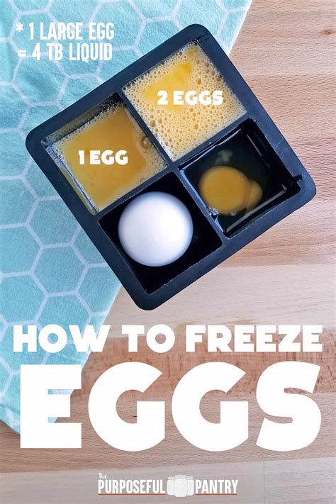 9 Ways to Preserve Eggs (Safely) - The Purposeful Pantry