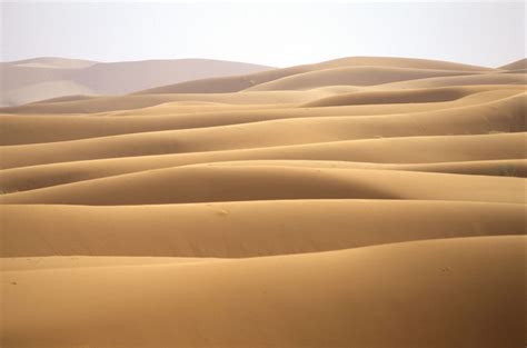 Sand-dunes-dune-field-Sahara-desert | EarthSky