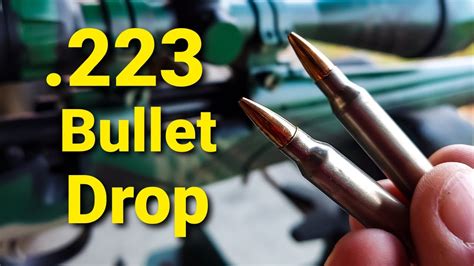 100 Yard 223 Bullet Drop Chart 55 Grain