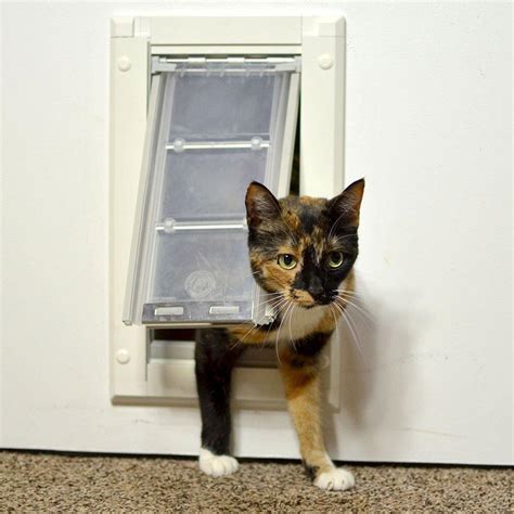 Cat doors for exterior doors - kobo building