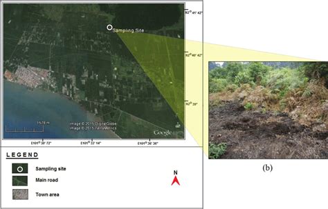 (a) Location of the peat soil samples and (b) site view of peat soil ...