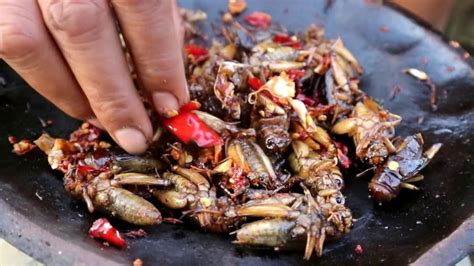 Survival skills: Find crickets In the ground & grilled for food - Cookin... | Cooking recipes ...