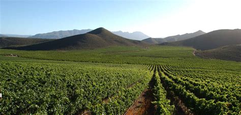 THE ROBERTSON WINE VALLEY - HOME TO FINE WINES - Rietvallei Wine Estate