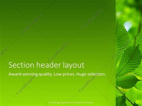 PowerPoint Template: Green leaves on a green background with other ...