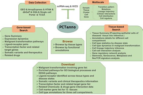 Statistics | PCTanno: a knowledge of precancer-to-cancer transition annotation in human