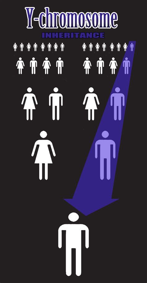 The 3 Types of Genetic Inheritance