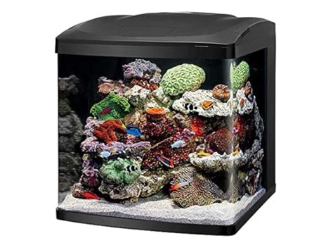 The 5 Best 40-Gallon Fish Tanks of 2024 (Reviews) - FindThisBest