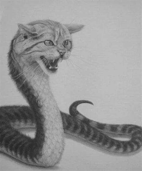 cat snake | Metamorphosis art, Animal mashups, Surreal art