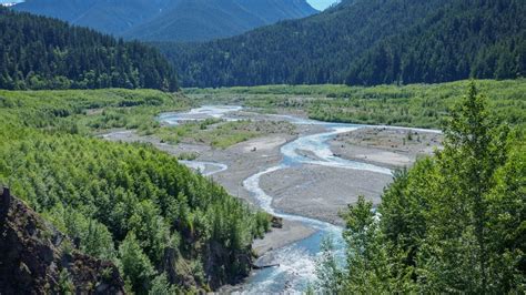 Elwha River transformed 10 years after dam removal - OPB