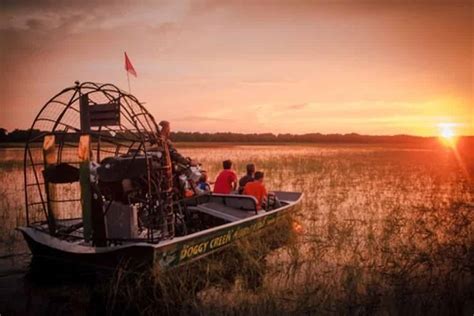 Everglades Sunset Airboat Tour - TripShock!