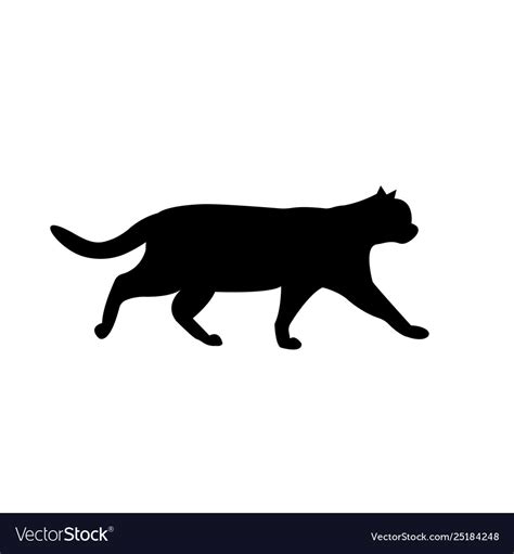 Walking black cat silhouette on white Royalty Free Vector