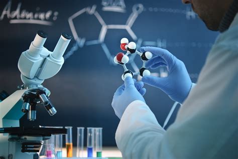 Exploring Alcohol Dehydrogenase