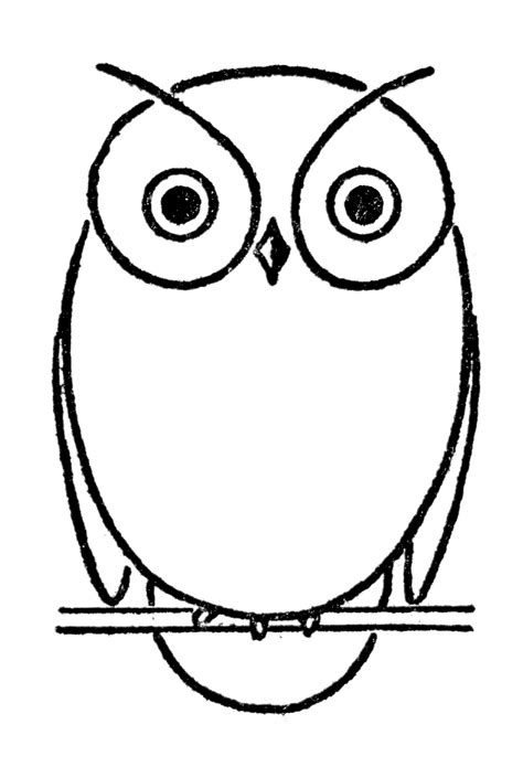 Owl Drawing Step by Step (3 ways)! - The Graphics Fairy