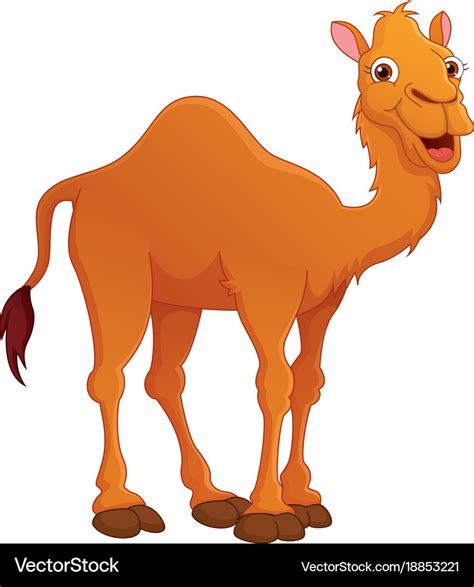 Cartoon camel Royalty Free Vector Image - VectorStock