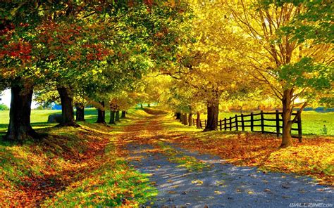 Beautiful Autumn HD Desktop Wallpaper | Wallzine.com | Beautiful nature ...