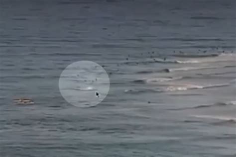 Beachcam footage shows chilling moment shark fatally attacks surfer on ...