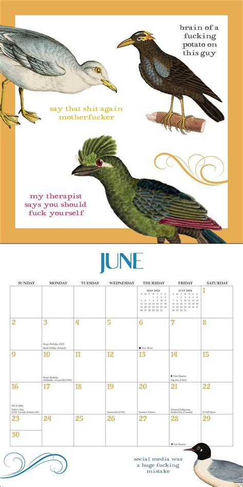 Bird Calendar 2024 - 2024 Calendar Printable