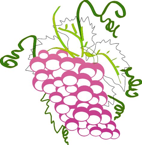 Download Grape Vector Graphics SVG | FreePNGImg