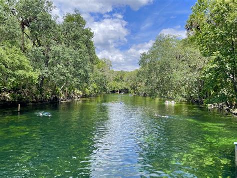 Beautiful Blue Springs State Park – All Around the Bend