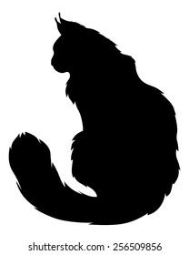 Fluffy Cat Silhouette Photos, Images & Pictures | Shutterstock