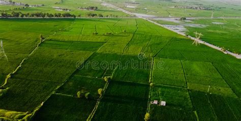 Aerial View of a Fields of Sindh. Stock Image - Image of view, 2021: ...