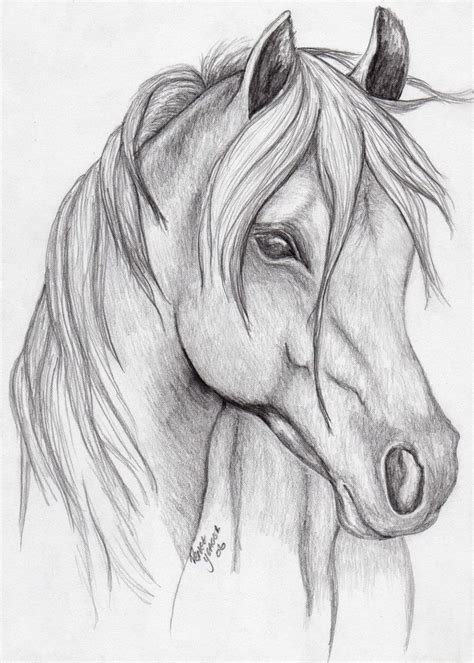 horse drawing easy realistic - Celesta Tolbert