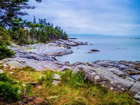 Acadia National Park Camping Guide