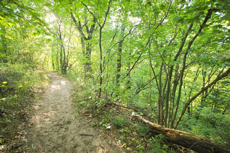 Hiking Dunes Trails in Indiana Dunes State Park, Indiana