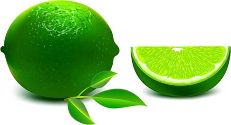 Lime Vectors images graphic art designs in editable .ai .eps .svg .cdr ...