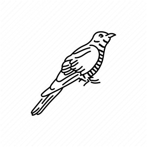 Cuckoo, bird icon - Download on Iconfinder on Iconfinder