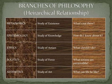 Branches of philosophy report