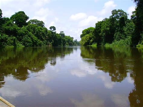 File:Nyong river Cameroon.jpg - Wikimedia Commons
