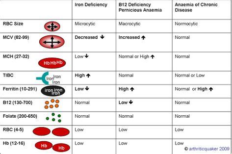 Pin by Brittany Krzycki on science (With images) | Nurse practitioner ...