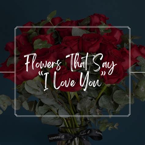 Flowers That Say I Love You – Flowers.ie