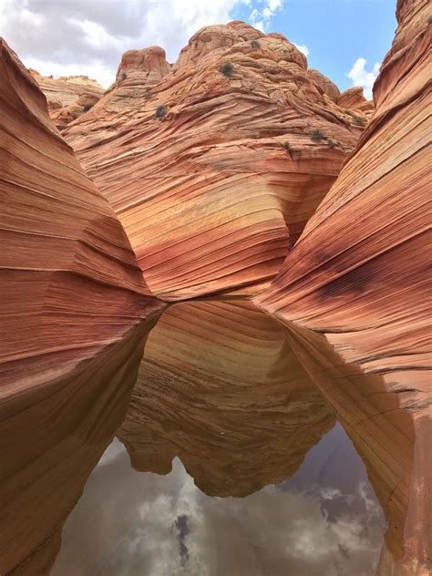 Everything you Need to Know about Hiking The Wave in Arizona – Bearfoot ...