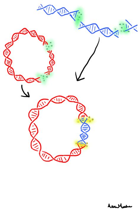 Gene Splicing by McTalon on DeviantArt