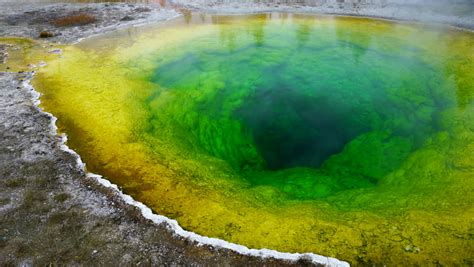 Morning Glory Pool at Yellowstone National Park, Wyoming image - Free stock photo - Public ...