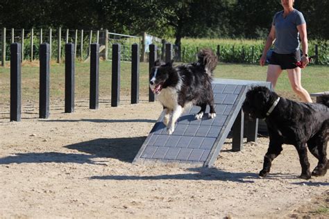 Agility course opened | Cambridge News