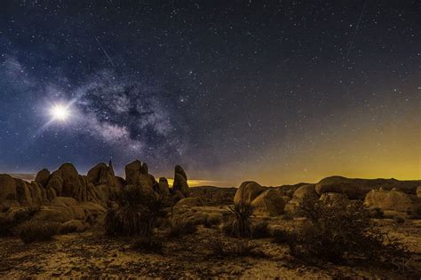 Joshua Tree National Park | Joshua tree national park, National parks, Beautiful landscapes