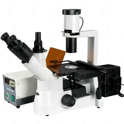 Culture Fluorescent Inverted Microscope AmScope Supplies 40x 600x Plan Phase Contrast Culture ...