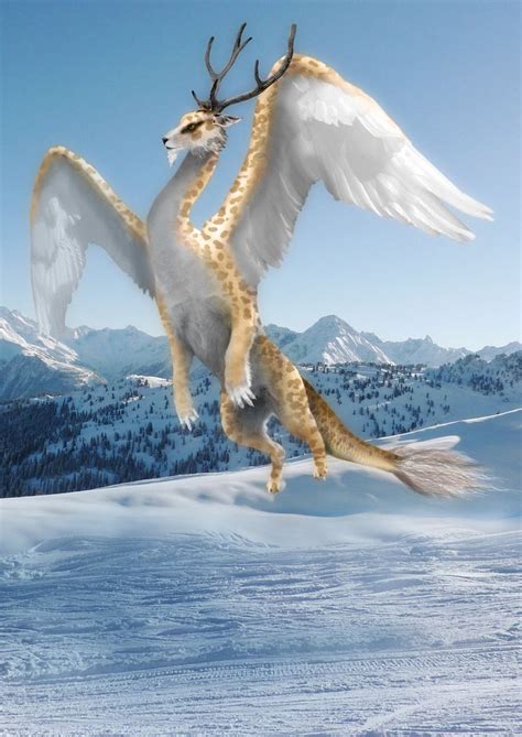 snow dragon pictures - Yahoo Image Search results | Dragon pictures, Snow dragon, Fantasy dragon