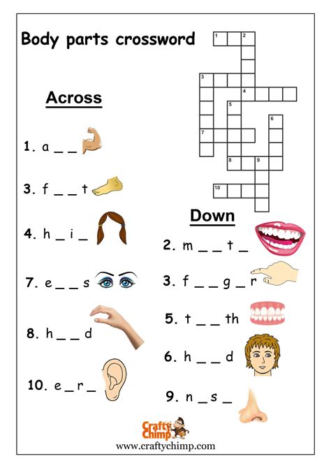 Parts of the Body - Crossword Puzzle - CraftyChimp (A unit of BrainSpa)