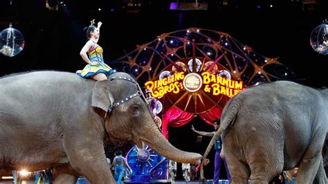 Elephants to perform for final time at Ringling Bros. circus - ABC7 Los Angeles