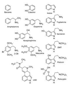 9 Molecule tattoo ideas | molecule tattoo, molecules, molecule art