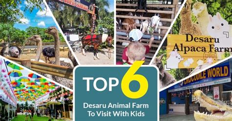 Top 6 Desaru Animal Farm To Visit With Kids