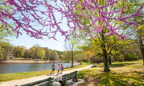 Crowley's Ridge State Park | Arkansas State Parks